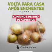 Volta para Casa   Parte 5   cuidados com alimentos (1)