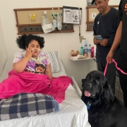 Um quarto de hospital com uma criança acamada,  uma canina preta da raça Terra Nova, de tamanho grande com coleira cor de rosa sendo segurada por uma mão de um homem 